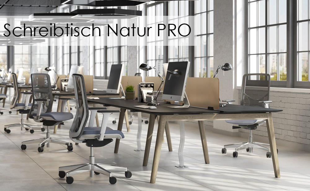 schreibtisch-natur