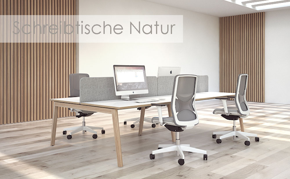 schreibtisch-natur