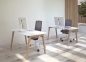 Preview: tisch-120x80
