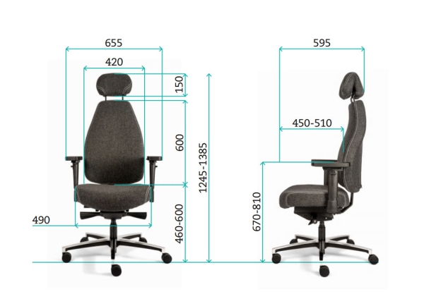 Bürostuhl Therapod Leder mit Kopfstütze