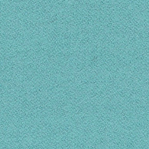 S55-Helle Minze