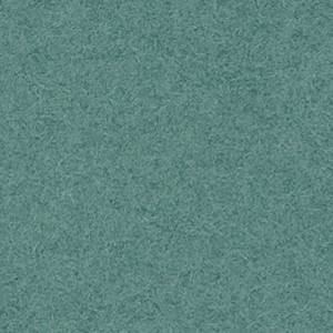 GS6 - Mint