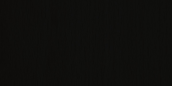 Schwarz Z4