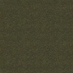 S42 - Waldgrün