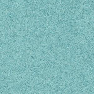 VGC1 - Helle Minze