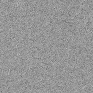 VGS2 - Grau