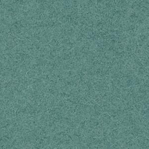 VGS6 - Mint Farbe