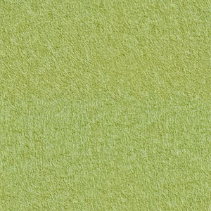 B55 - Limette