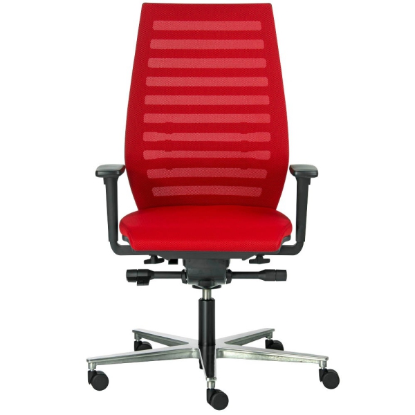 ergo-balance-r12-rot