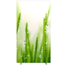 Motiv Trennwand Gras